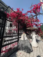 ست بیبی بابونه جدید