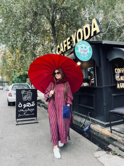 پالتوشایلی